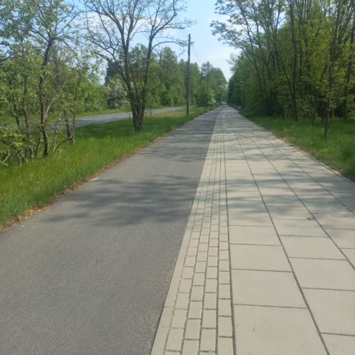 trasy rowerowe Poznania są świetnie ze sobą połączone